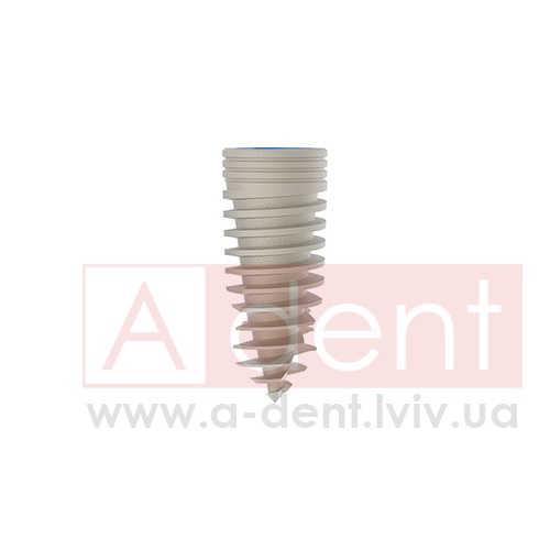 ������� MAGIX Dental Implant d3.3 L08mm Prime Implant Set (Cortex Dental Implants Industries Ltd.), � BCDL-0833, Magix Conical Regular Platform (d 2.8mm) - Prime Package, Ideal for implant placement without drilling - 0.00 ���