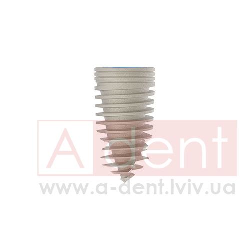 ������� MAGIX Dental Implant d4.2 L08mm Prime Implant Set (Cortex Dental Implants Industries Ltd.), � BCDL-0842, Magix Conical Regular Platform (d 2.8mm) - Prime Package, Ideal for implant placement without drilling - 0.00 ���