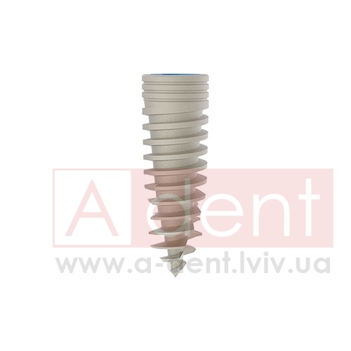 ������� MAGIX Dental Implant d3.3 L10mm Prime Implant Set (Cortex Dental Implants Industries Ltd.), � BCDL-1033, Magix Conical Regular Platform (d 2.8mm) - Prime Package, Ideal for implant placement without drilling - 0.00 ���