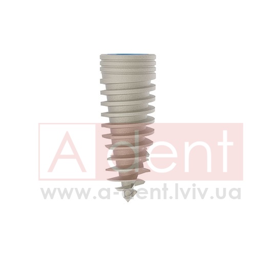 ������� MAGIX Dental Implant d3.8 L10mm Prime Implant Set (Cortex Dental Implants Industries Ltd.), � BCDL-1038, Magix Conical Regular Platform (d 2.8mm) - Prime Package, Ideal for implant placement without drilling - 0.00 ���