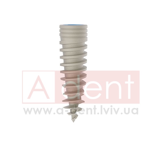 ������� MAGIX Dental Implant d3.3 L11.5mm Prime Implant Set (Cortex Dental Implants Industries Ltd.), � BCDL-1133, Magix Conical Regular Platform (d 2.8mm) - Prime Package, Ideal for implant placement without drilling - 0.00 ���