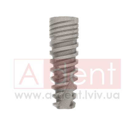 ������� Conic Dynamix Implant d3.8mm L08mm Prime Implant Set (Cortex Dental Implants Industries Ltd.), � BMCD-0838, Dynamix Conical Implant Prime Set - 0.00 ���