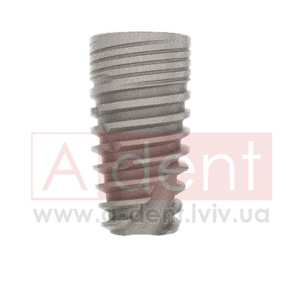 ������� Conic Dynamix Implant d6.0mm L08mm Prime Implant Set (Cortex Dental Implants Industries Ltd.), � BMCD-0860, Dynamix Conical Implant Prime Set - 0.00 ���