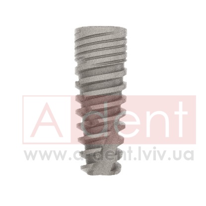 ������� Conic Dynamix Implant d4.2mm L10mm Prime Implant Set (Cortex Dental Implants Industries Ltd.), � BMCD-1042, Dynamix Conical Implant Prime Set - 0.00 ���