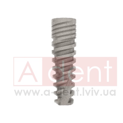 ������� Conic Dynamix Implant d3.3mm L16mm Prime Implant Set (Cortex Dental Implants Industries Ltd.), � BMCD-1633, Dynamix Conical Implant Prime Set - 0.00 ���